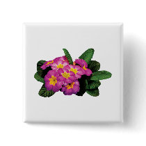 Light Magenta Primroses buttons