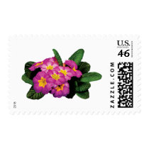 Light Magenta Primroses postage