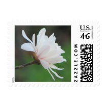 Light Magnolia Centennial  Bloom postage