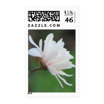 Light Magnolia Centennial  Bloom postage