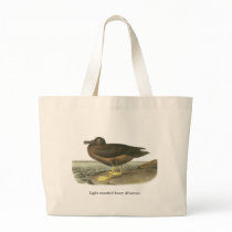 Light-mantled Sooty Albatross, John Audubon Bag