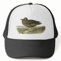 Light-mantled Sooty Albatross, John Audubon Mesh Hats