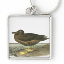 Light-mantled Sooty Albatross, John Audubon Key Chains