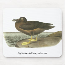 Light-mantled Sooty Albatross, John Audubon Mouse Pads