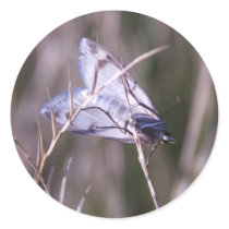 light moth stickers