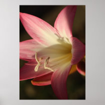 Light of Life Print