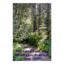 Light on My Path posters