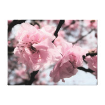 light pink blossoms gallery wrap canvas