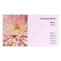 light pink chrysanthemum flower business card templates