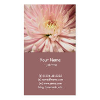 light pink chrysanthemum flower business cards