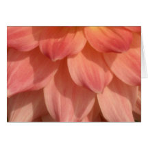 Light Pink Dahlia Petals Motif Greeting Card