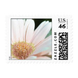 Light Pink Gerbera Daisy Stamp