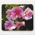 Light Pink mousepads by princessklb07 Light Pink mousepads