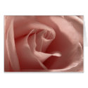 Light-Pink-Rose cards