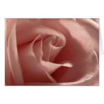 Light-Pink-Rose Card