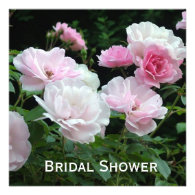 Light pink rose flowers bridal shower invitations