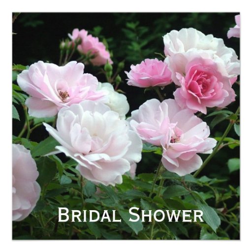 Light pink rose flowers bridal shower invitations