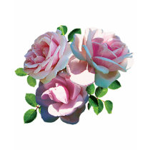 Light Pink Rose Heart Women's T-Shirts