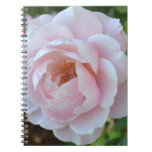 Light Pink Rose Journal Notebook