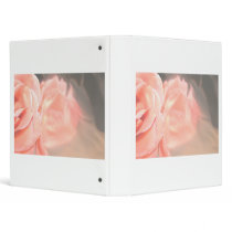 Light pink rose reflection in silver binder