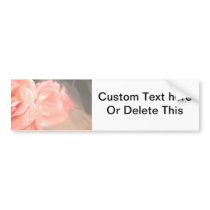 Light pink rose reflection in silver bumper stickers