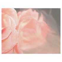 Light pink rose reflection in silver personalized flyer