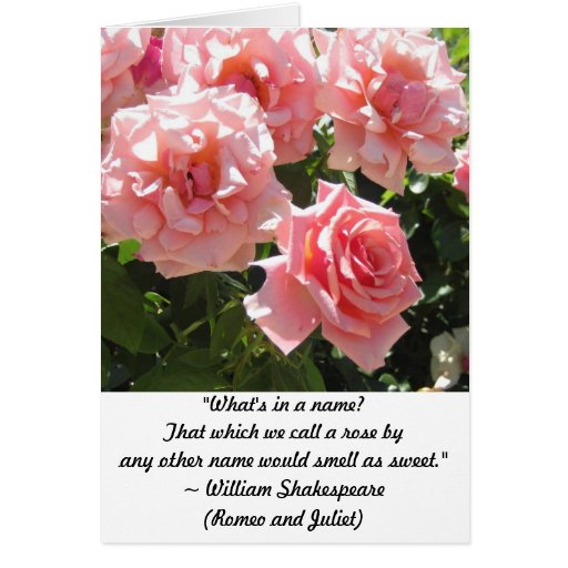 Light Pink Roses Shakespeare Quote Greeting Card Zazzle