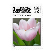 Light Pink Tulip postage