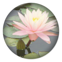 Light Pink Water Lily Fade to Black Round Stickers by FNolan Light Pink Water Lily Fade to Black Round Stickers