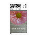 Light Purple Daisy & Barnwood Save The Date Stamps
