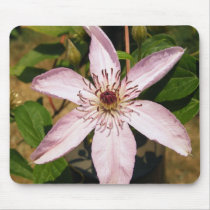 Light Purple Flower mousepads
