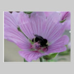 Light Purple Flower With Bee postcards