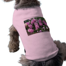 light purple hyacinth dog clothing
