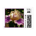 Light Purple Iris Postage postage by dlgray Light Purple Iris Postage postage