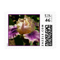 Light Purple Iris Postage postage