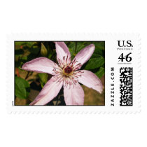 Light Purple postage by princessklb07 Light Purple postage