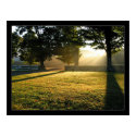 Light Rays 1 posters by gavinshapiro Light Rays 1 posters