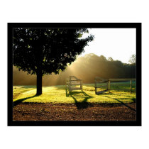 Light Rays 2 posters by gavinshapiro Light Rays 2 posters