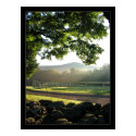 Light Rays 3 posters