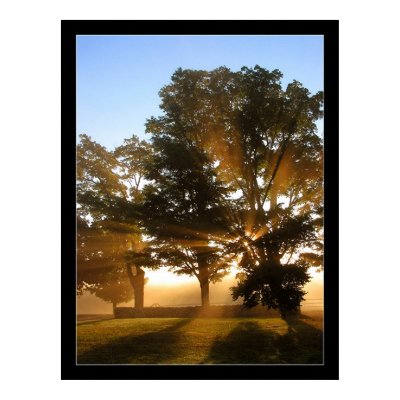 Light Rays 4 Poster by gavinshapiro