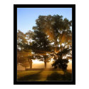 Light Rays 4 posters by gavinshapiro Light Rays 4 posters