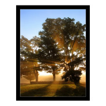 Light Rays 4 posters