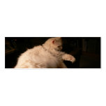 Light &amp; Shadow Cat Business Card Templates