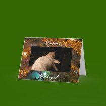 Light & /Shadow Cat cards by codfishlady Light & /Shadow Cat cards