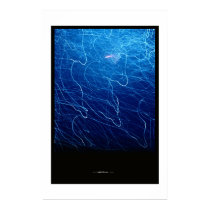 light shower posters