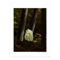 Light Stone Poster posters