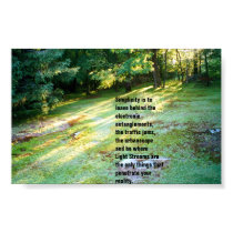 LIGHT STREAMS posters