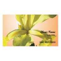 light yellow iris flower business card template