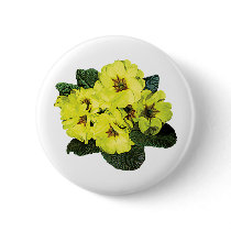 Light Yellow Primroses buttons