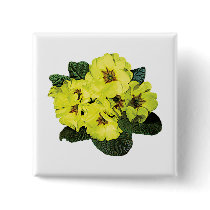 Light Yellow Primroses buttons
